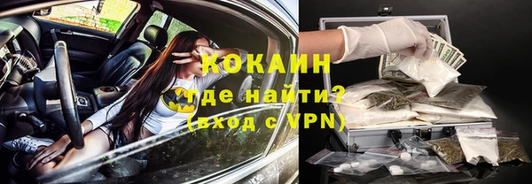 бошки Белокуриха