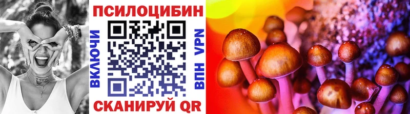 закладки  Ахтырский  Галлюциногенные грибы GOLDEN TEACHER 